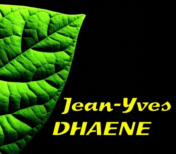 DHAENE JEAN-YVES - Artisans à domicile : Vienne, Deux ...